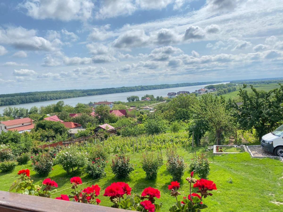 Casa Lac De Verde Băltenii de Sus Екстериор снимка