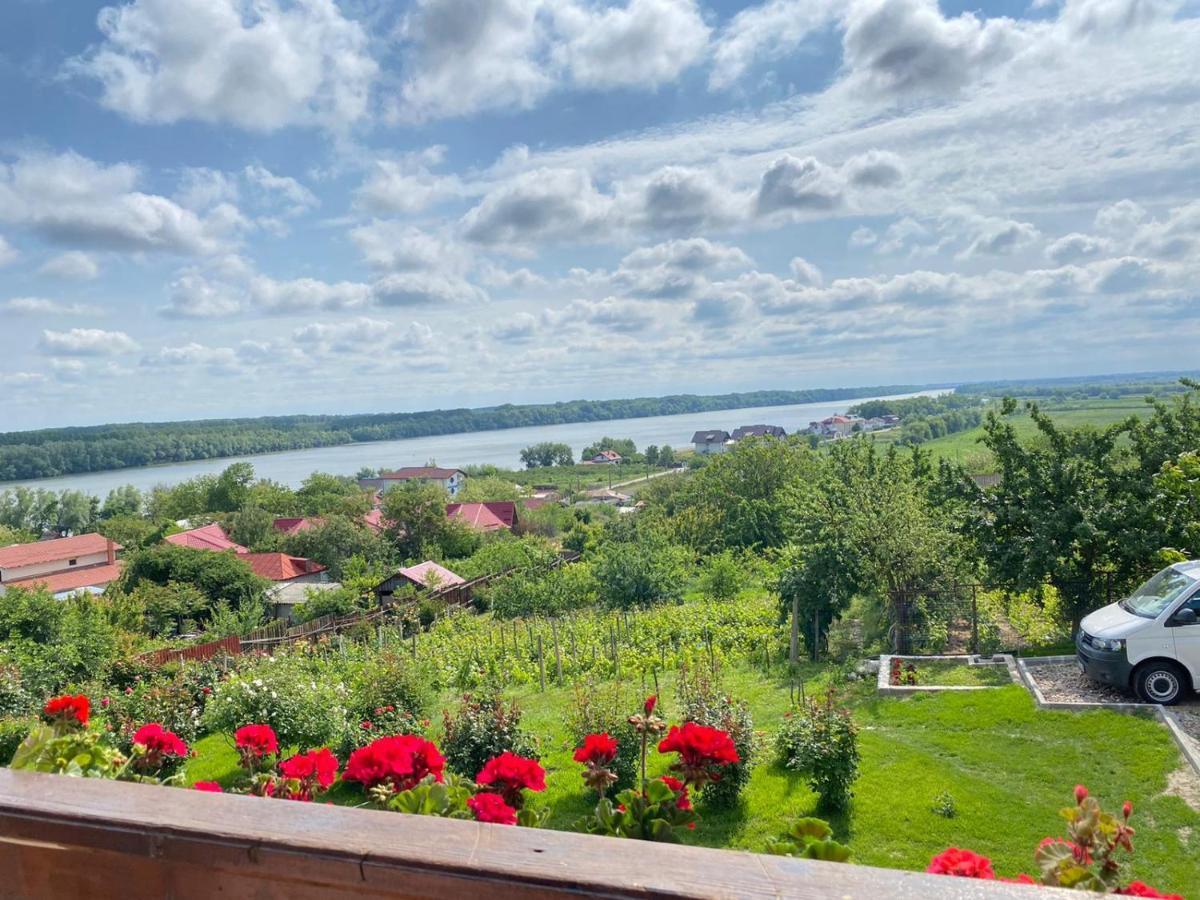 Casa Lac De Verde Băltenii de Sus Екстериор снимка