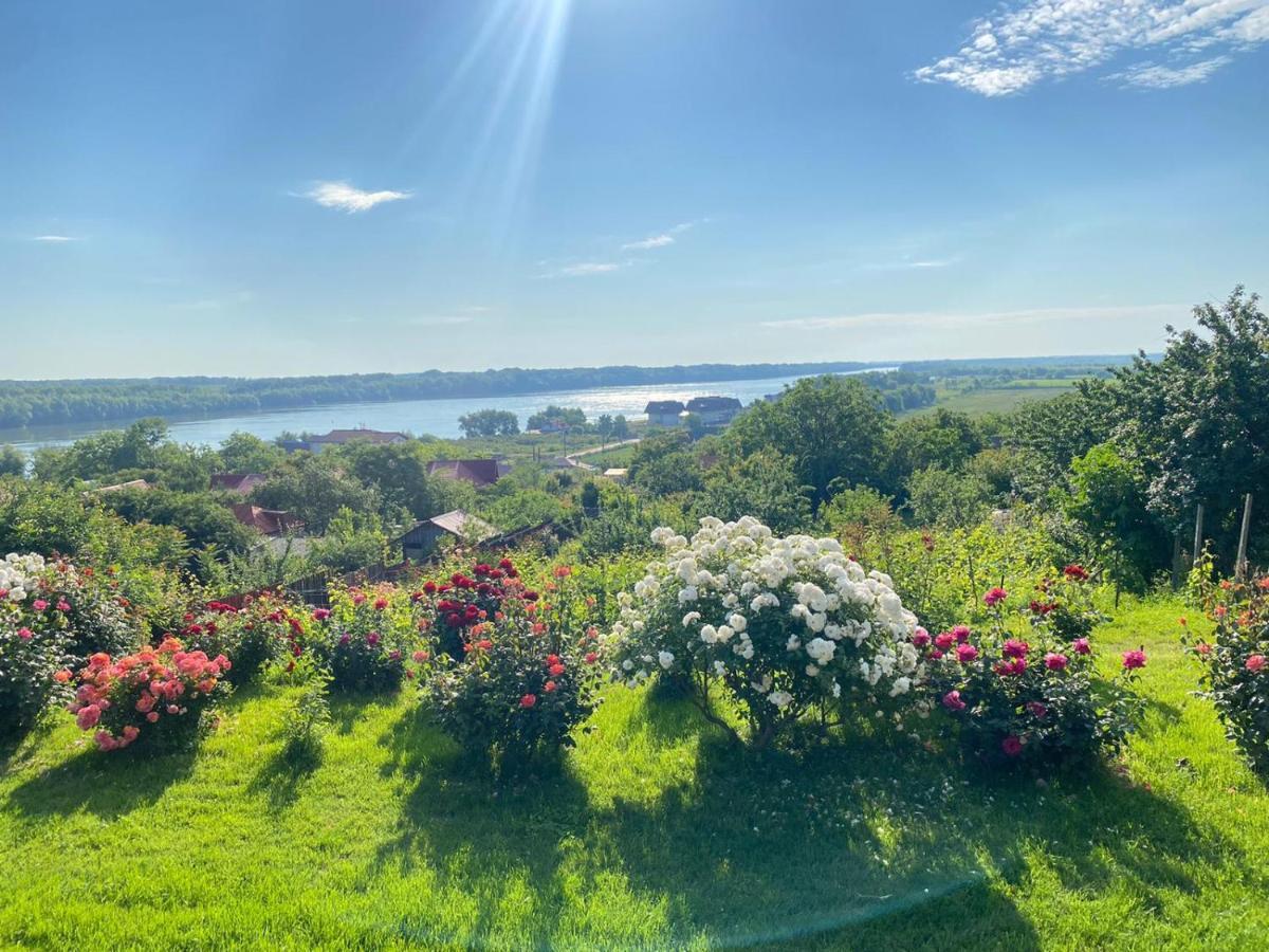 Casa Lac De Verde Băltenii de Sus Екстериор снимка